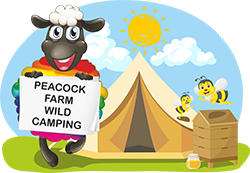 Peacock Farm Camping